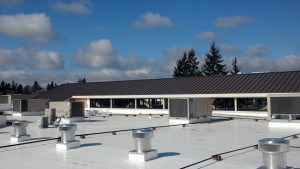 Roof-Coating-Texs 